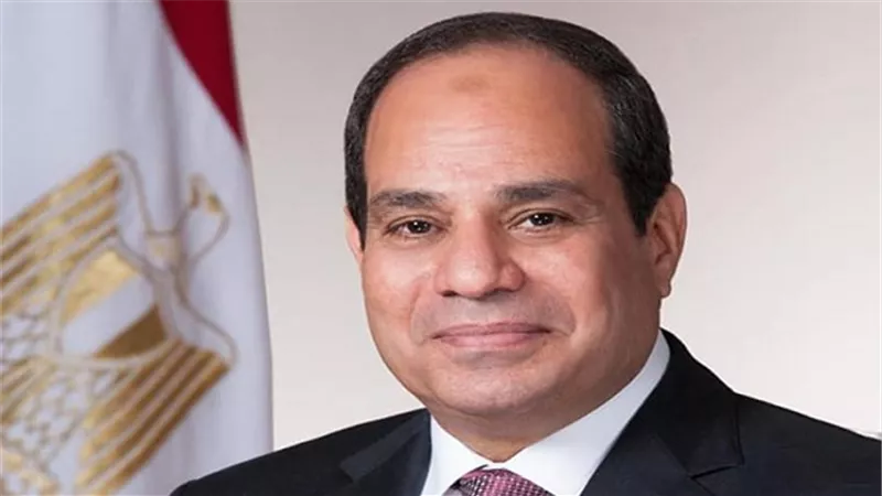 الرئيس يبحث البرنامج الوطنى للإصلاحات الهيكلية 