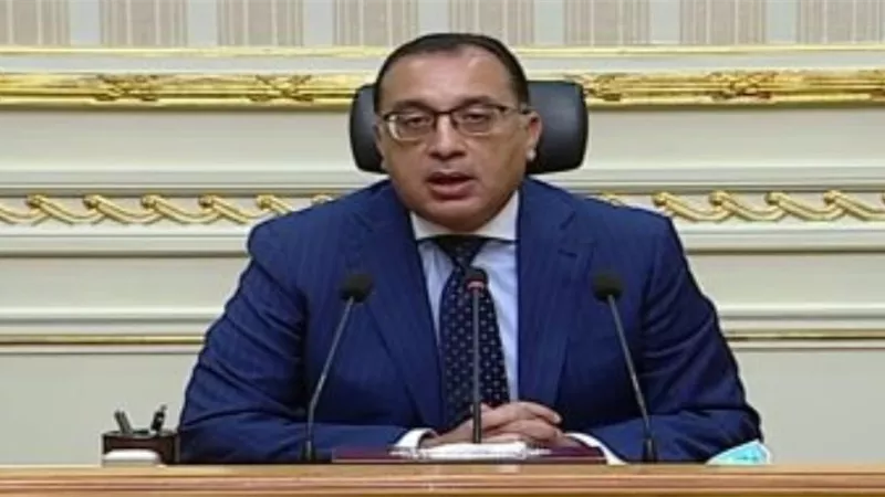 الحكومة تنفى استخدام مضادات حيوية محظورة فى مزارع الدواجن بمصر