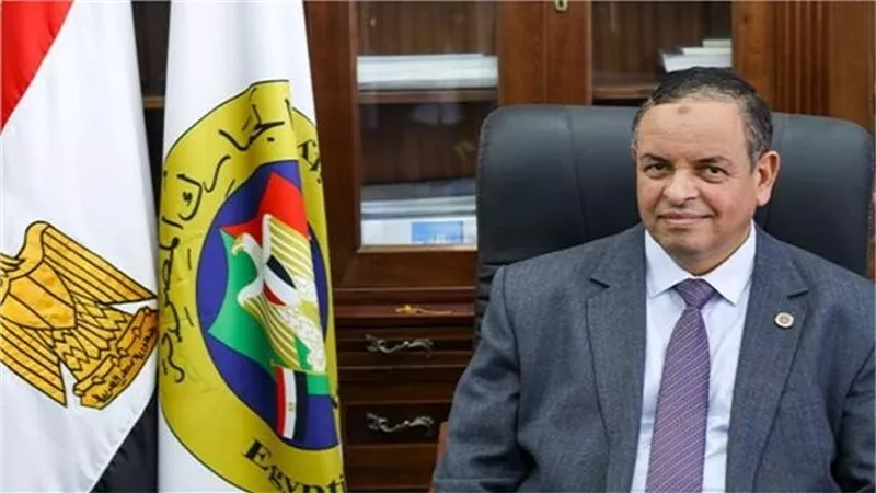الجمارك: نجحنا في إحباط أكثر من 1500 عملية تهريب