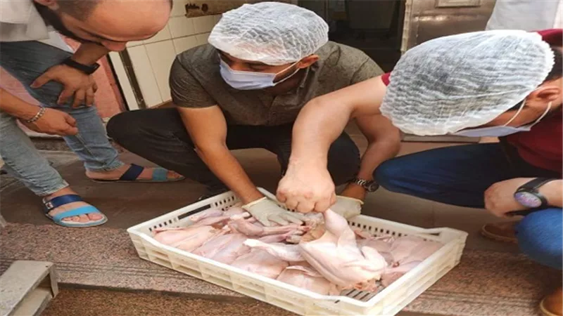 بالصور.. ضبط 750 كيلو دواجن مذبوحة فاسدة بسيارة امام احدى المطاعم بالمنصورة 