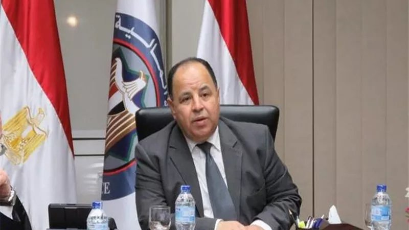 وزير المالية: تعيين 6 معاونين لرئيس مصلحة الضرائب