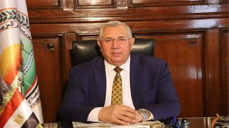 الزراعة: لدينا اكتفاء ذاتي من الطيور والبيض