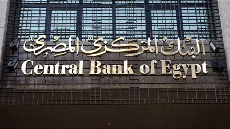 ننشر.. ميزان المدفوعات يُحقق فائضا 3.7 مليار دولار في العام المالي الماضي