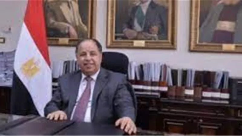 وزير المالية: كل دولار يستثمر فى الطاقة المتجددة يحقق مكاسب 2.5 دولار