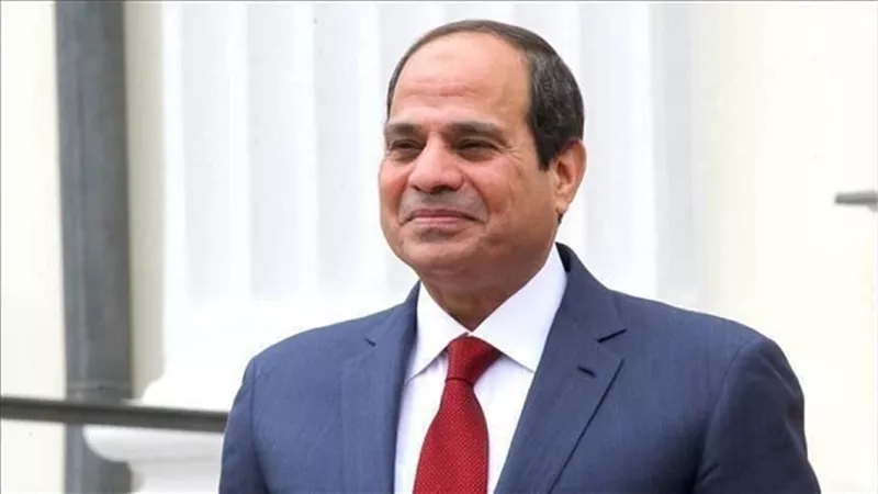 الرئيس السيسى يبحث التعاون مع 