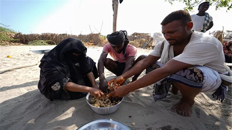 13 مليون يمني بصدد أزمة غذاء.. الأمم المتحدة تحذر من نفاذ أموال المساعدات 