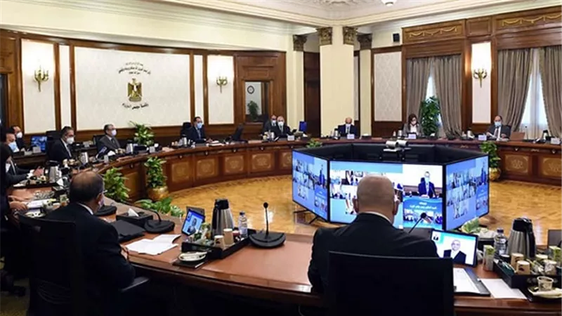 الحكومة توافق على إعفاء 20 ألف طن دواجن مجمدة من الضرائب الجمركية