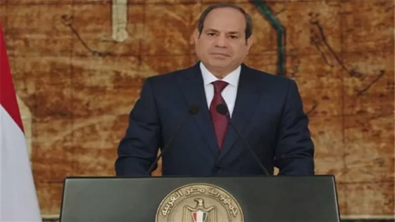 الرئيس السيسي: قدمنا الدعم والحماية الاجتماعية اللازمة للفئات الأكثر احتياجا