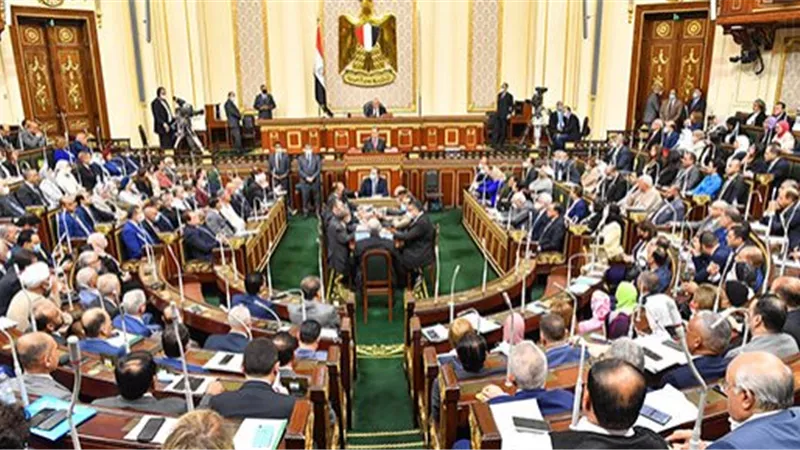 تشكيل لجنة مشتركة من البرلمان والحكومة لحل مشكلة المعاش المبكر 