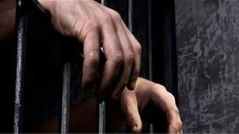 ضبط قضايا سرقة كهرباء بقيمة 312 مليون جنيه