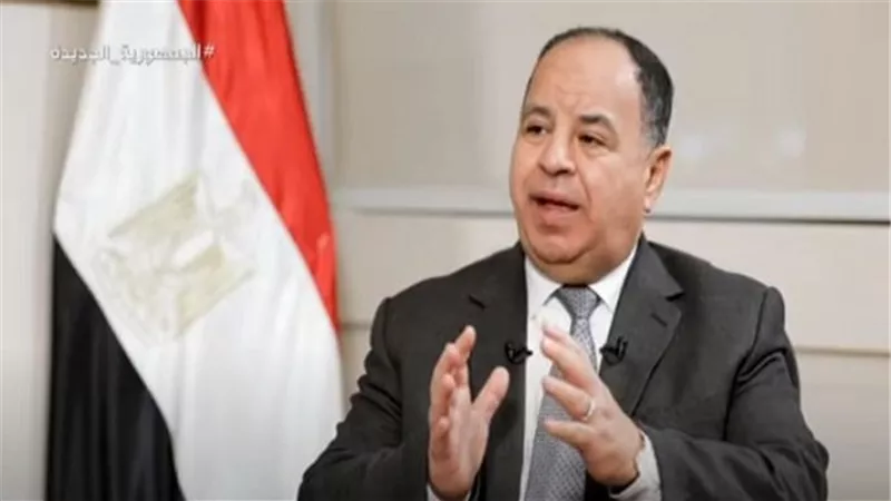 وزير المالية من واشنطن: 71.4 % نمو في الاستثمارات الأجنبية بمصر
