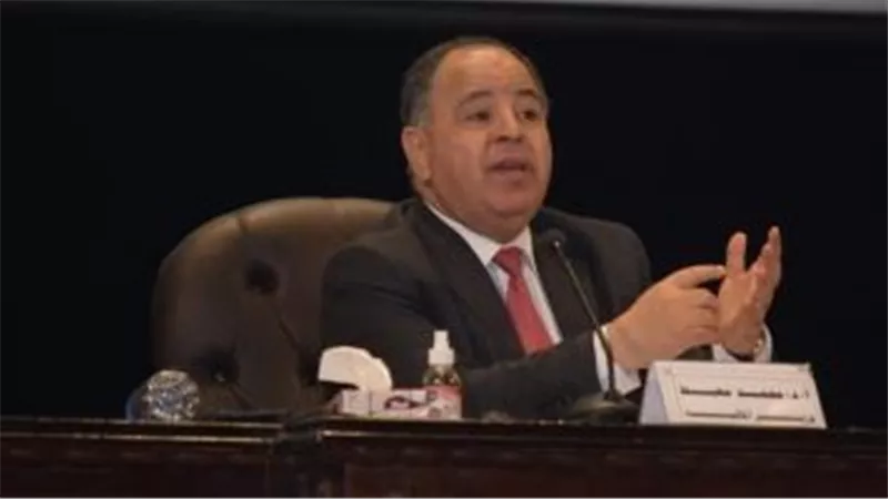 وزير المالية: الاقتصاد المصرى بات أكثر قدرة على التعامل مع الصدمات الخارجية