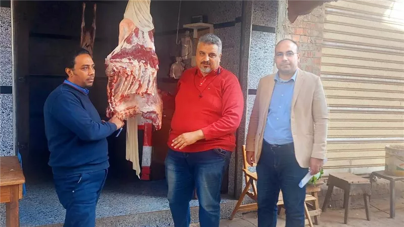 تموين الدقهلية.. ضبط لحوم خارج السلخانة فى حملة تموينية بأجا  
