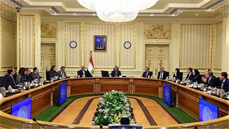 قرارات مجلس الوزراء × أسبوع.. تحديد سعر الأرز الأبيض أبرزها