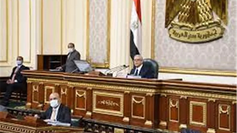 بعد الاساءة لوزارة الداخلية.. مجلس النواب يوافق على رفع الحصانة عن نائب  دائرة حلوان