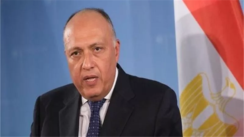 مصر تتسلم تابوتا أثريا بعد استعادته من أمريكا بمقر الخارجية