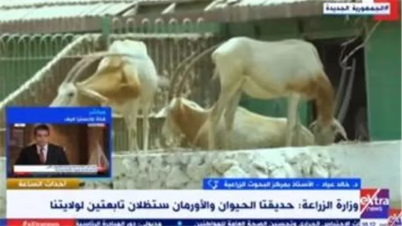 أستاذ بالبحوث الزراعية: حديقة الحيوان صرح علمى يجب تطويرها وإبعاد الباعة