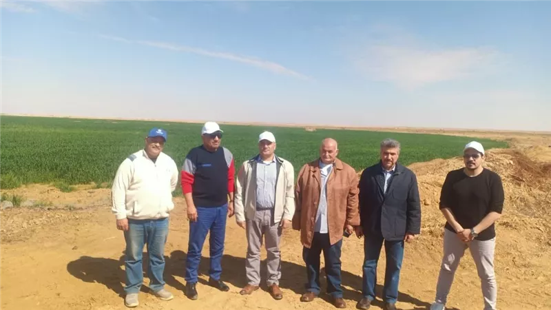وزير قطاع الأعمال العام من توشكى:  التوسع في زراعة القمح وزيادة مساحته إلى 50%
