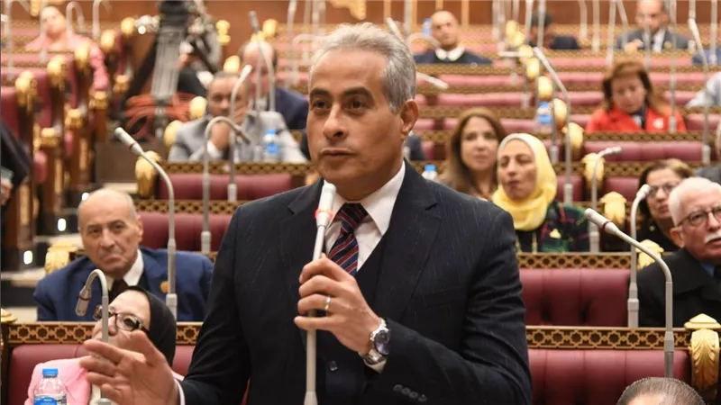 وزير القوى العاملة يستعرض أمام مجلس الشيوخ خطة دمج الإقتصاد غير الرسمي في 