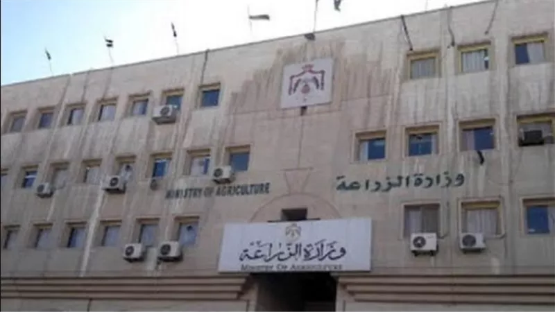 الحكومة تخصص أرقام تليفونات للابلاغ عن رفع الأسعار فى الأسواق