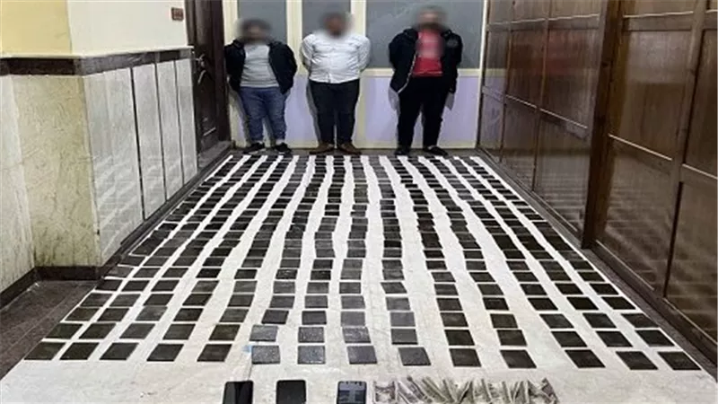 بالأسكندرية.. 