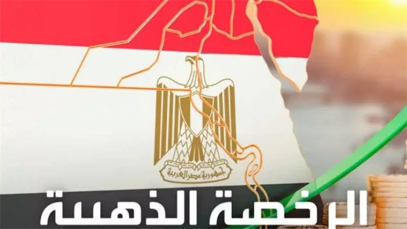 الحكومة تطرح 4 جدد.. اعرف قصة الرخصة الذهبية