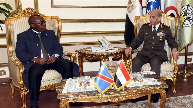 وزير الدفاع يلتقى وزير الدفاع الوطنى والمحاربين القدماء لجمهورية الكونغو الديمقراطية