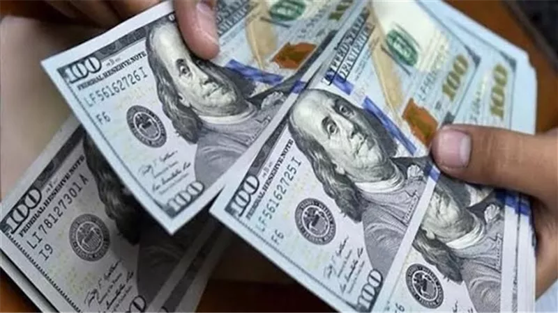أسعار الذهب والدولار.. استقرار سوق العملة والصاغة