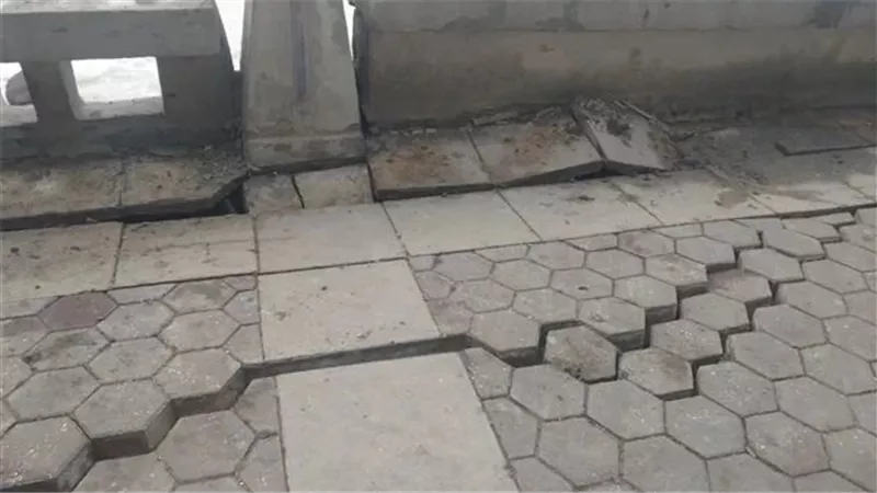 زلزال الإسكندرية.. هل تشهد عروس البحر المتوسط هزة أرضية؟