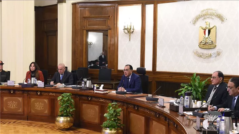 مدبولي يجتمع بوزير المالية لمراجعة مشروعات قوانين تتضمن  تيسيرات ضريبية لتحفيز القطاع الصناعي