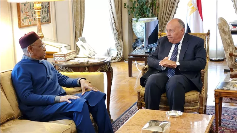 وزير الخارجية يستقبل الممثل الخاص للأمين العام للأمم المتحدة إلى ليبيا