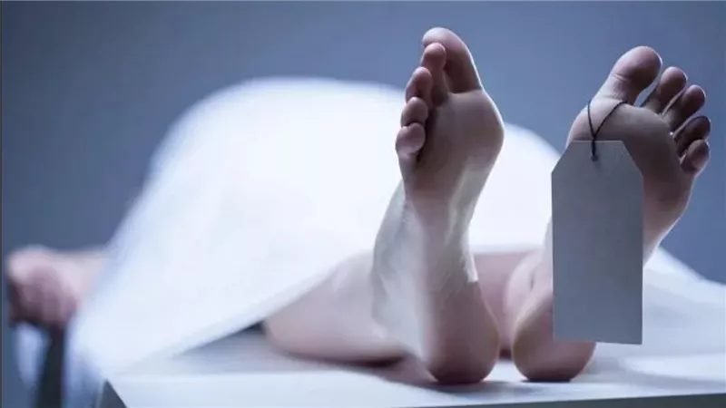 ورا مصنع الكراسي.. الحلقة الخامسة 