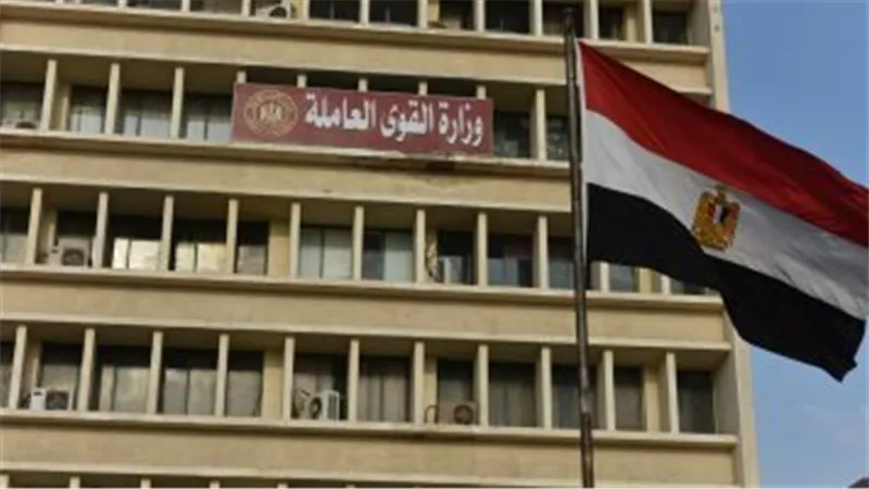 القوى العاملة تعلن فرص عمل لفتيات الأسكندرية برواتب تبدأ من 4000 جنيه