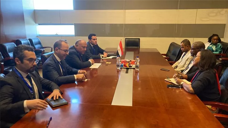 وزير الخارجية يلتقي مع وزير خارجية جزر القمر على هامش أعمال المجلس التنفيذي للاتحاد الإفريقي