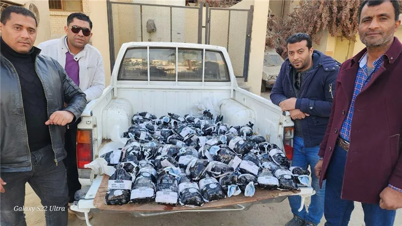 تموين الفيوم ضبط 120 دجاجة منتهية الصلاحية وتكثيف حملات على المخابز والمطاحن والاسواق 