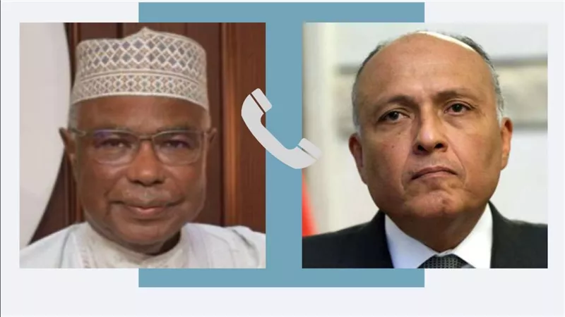 وزير الخارجية يتلقى اتصالاً هاتفياً من الأمين العام لمنظمة التعاون الإسلامي