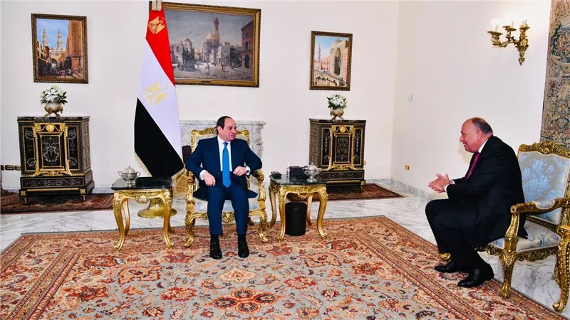 الرئيس السيسي يجتمع مع سامح شكري.. وهذا ما دار باللقاء