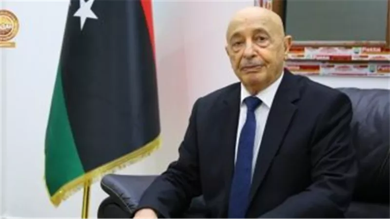 الجريدة الرسمية فى ليبيا تنشر التعديل الثالث عشر للإعلان الدستورى