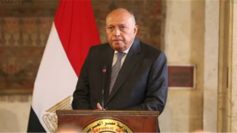 عاجل.. وزارة الخارجية تعلن ضبط الجناة فى قضية قتل مواطن مصري بإيطاليا