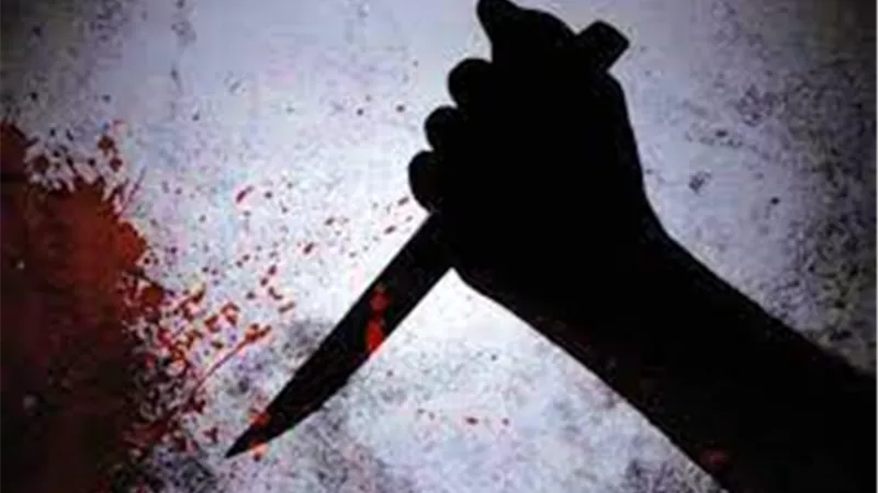  مقتل ربة منزل وطفلها بالمطرية..المتهم قتلهما لإدمانه المخدرات