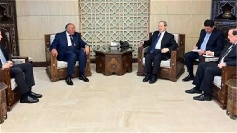 شكرى يلتقى الأسد