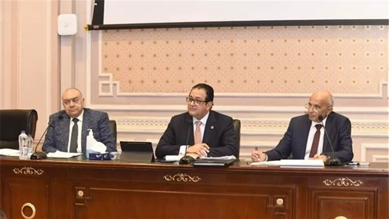 نقل النواب: لقاء الرئيس السيسى مع رئيس موانئ أبوظبي يفتح آفاقاً واسعة للتعاون