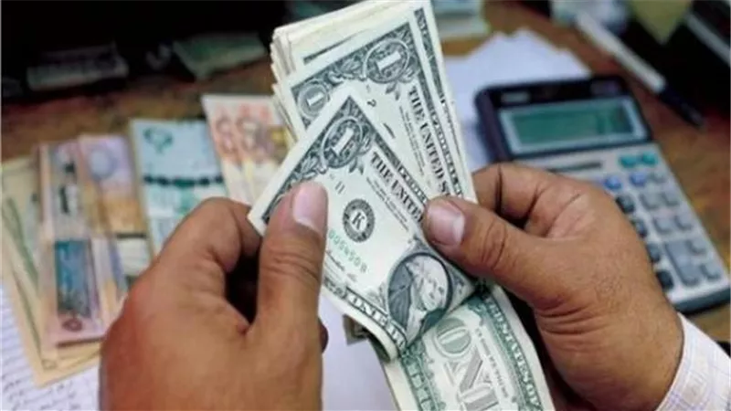 الحكومة: لا صحة لاعتزام الحكومة استقطاع جزء من تحويلات المصريين في الخارج