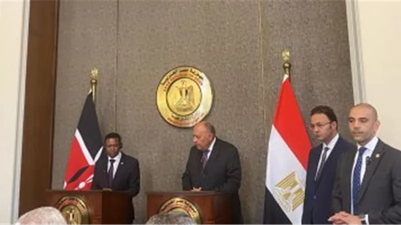 وزير الخارجية: ندعو إثيوبيا لاتفاق حول سد النهضة ومصر ستحمى حقوقها المائية