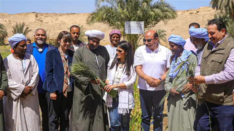 وزيرة التعاون الدولي ووفد الأمم المتحدة يلتقون المزارعين بقرية الكاجوج بأسوان 
