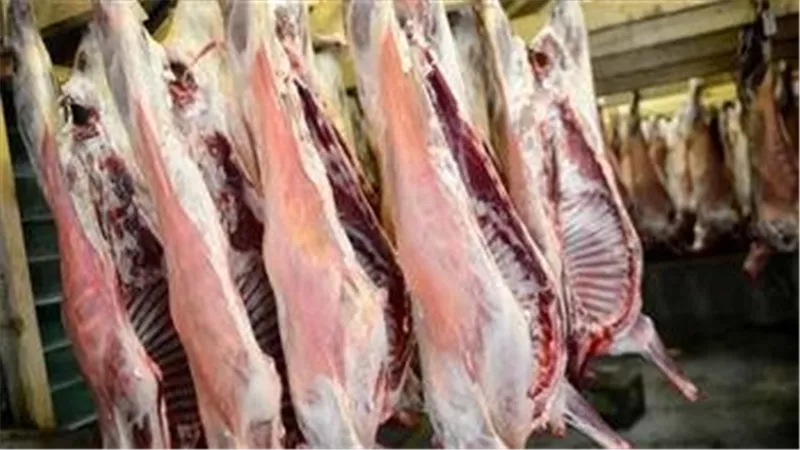 الحكومة تنفى استيراد لحوم مصابة بجنون الأبقار وطرحها بالأسواق