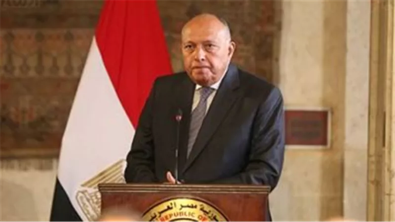 وزير الخارجية يستقبل زوجة الأسير الفلسطيني مروان البرغوثي 