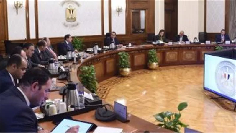 الحكومة تعلن بدء إجراءات طرح شركتى 
