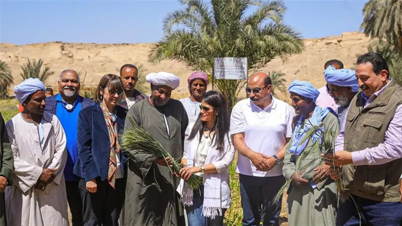 أسبوع الأمم المتحدة في مصر يصل إلى محطة أسوان