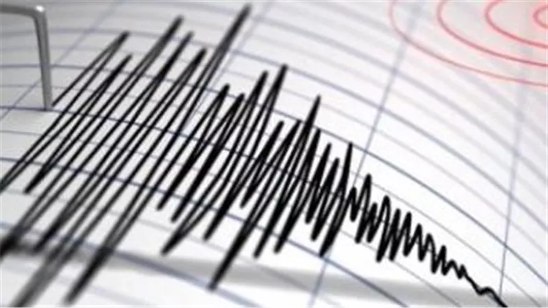هزات أرضية خفيفة شمال غرب العاصمة الهندية